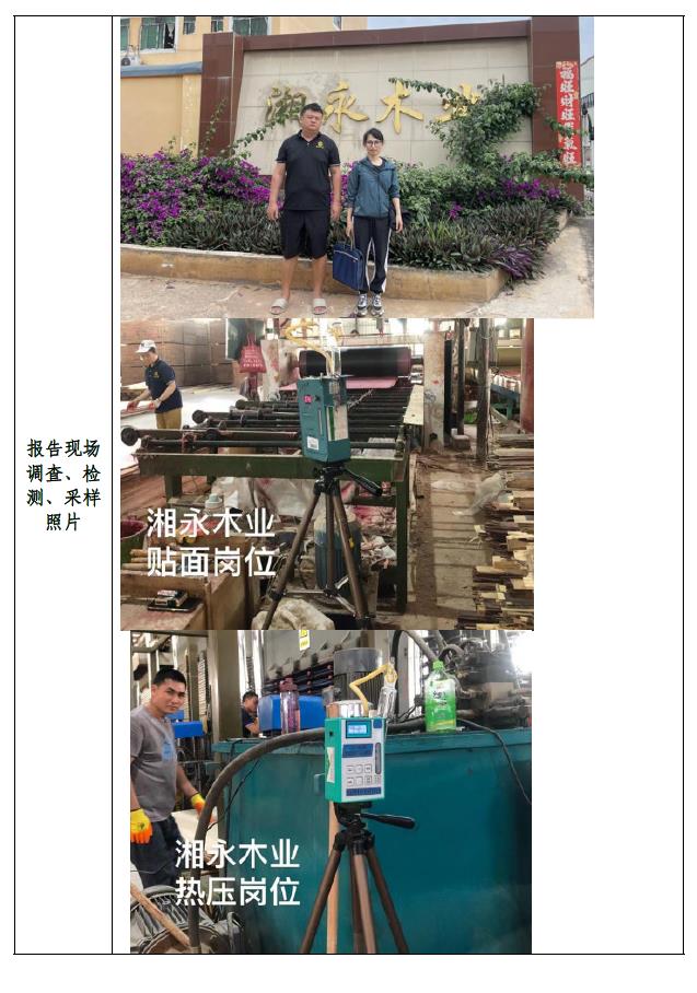 广西扶绥县湘永木业有限责任公司年产3万立方米胶合板项目职业病危害控制效果评价报告信息公示